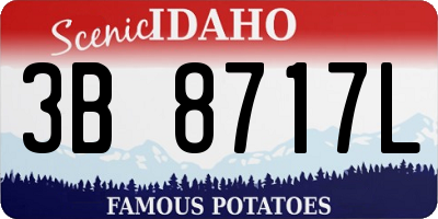 ID license plate 3B8717L