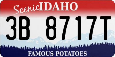 ID license plate 3B8717T