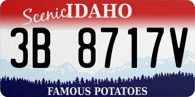 ID license plate 3B8717V