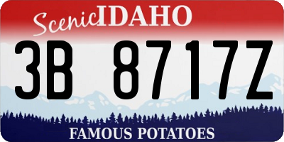 ID license plate 3B8717Z