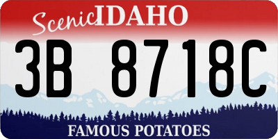 ID license plate 3B8718C
