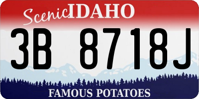 ID license plate 3B8718J