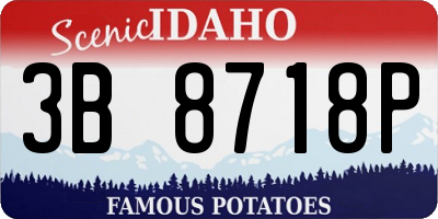 ID license plate 3B8718P