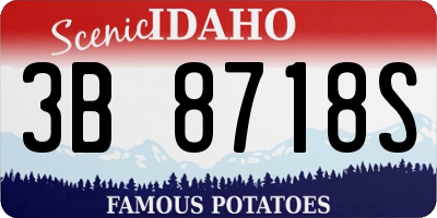 ID license plate 3B8718S