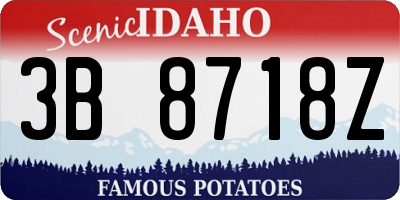 ID license plate 3B8718Z