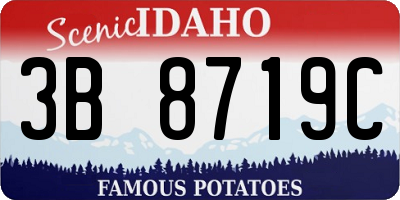 ID license plate 3B8719C