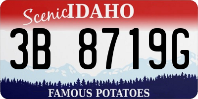 ID license plate 3B8719G