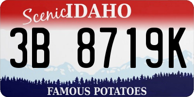 ID license plate 3B8719K