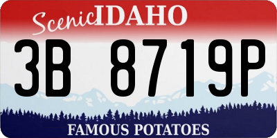 ID license plate 3B8719P