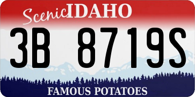 ID license plate 3B8719S