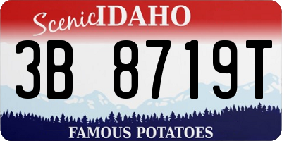 ID license plate 3B8719T