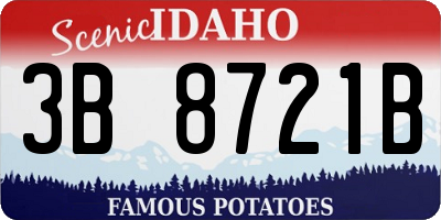 ID license plate 3B8721B