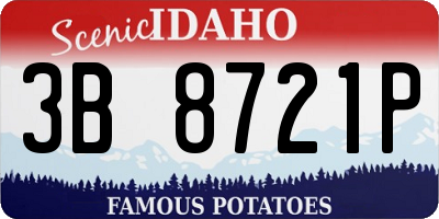 ID license plate 3B8721P