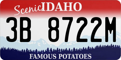 ID license plate 3B8722M