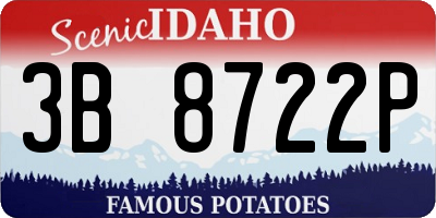 ID license plate 3B8722P