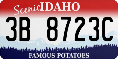 ID license plate 3B8723C