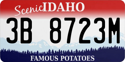 ID license plate 3B8723M