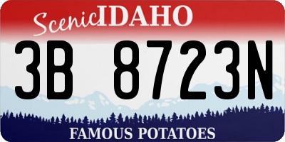 ID license plate 3B8723N