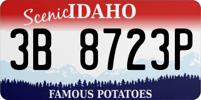 ID license plate 3B8723P