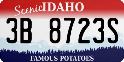 ID license plate 3B8723S