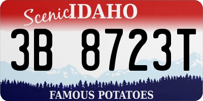 ID license plate 3B8723T