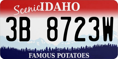 ID license plate 3B8723W