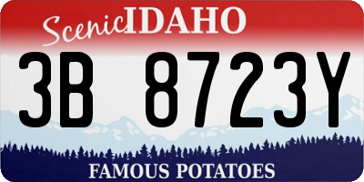 ID license plate 3B8723Y
