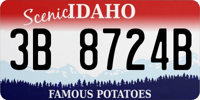 ID license plate 3B8724B