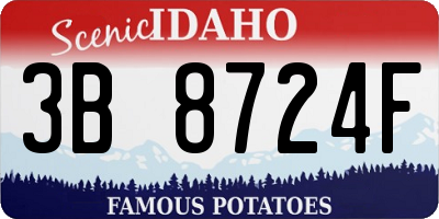 ID license plate 3B8724F