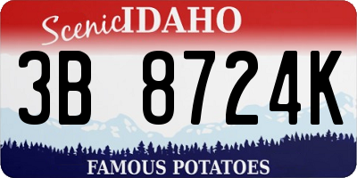 ID license plate 3B8724K