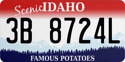 ID license plate 3B8724L