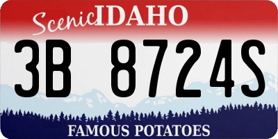 ID license plate 3B8724S