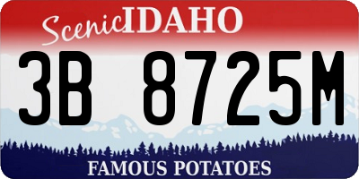 ID license plate 3B8725M
