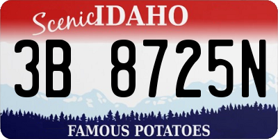 ID license plate 3B8725N