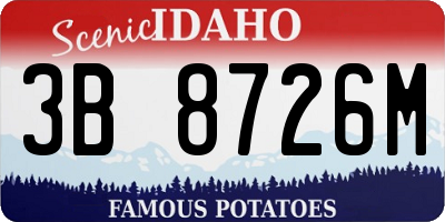 ID license plate 3B8726M