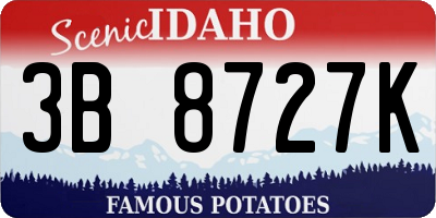 ID license plate 3B8727K