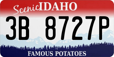 ID license plate 3B8727P