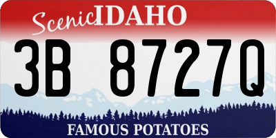 ID license plate 3B8727Q