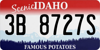 ID license plate 3B8727S