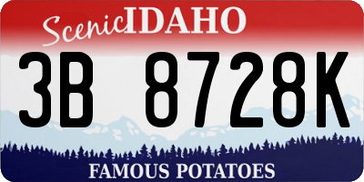 ID license plate 3B8728K