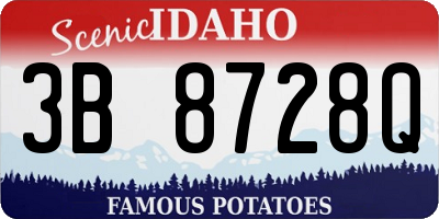 ID license plate 3B8728Q