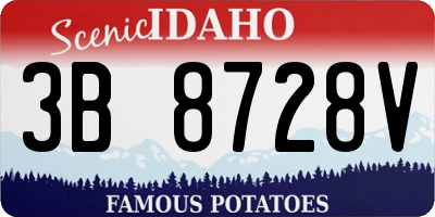 ID license plate 3B8728V