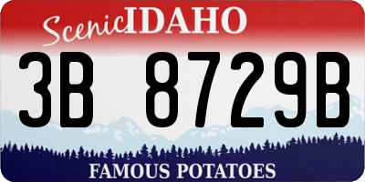 ID license plate 3B8729B