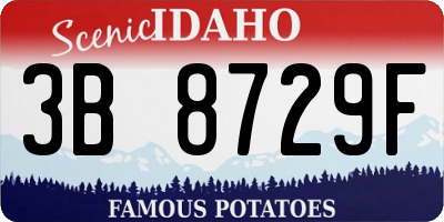 ID license plate 3B8729F