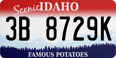 ID license plate 3B8729K
