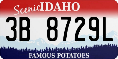 ID license plate 3B8729L