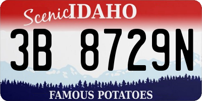 ID license plate 3B8729N