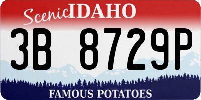 ID license plate 3B8729P
