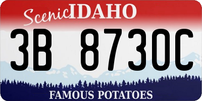 ID license plate 3B8730C