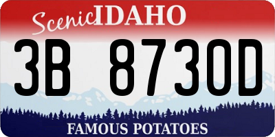 ID license plate 3B8730D